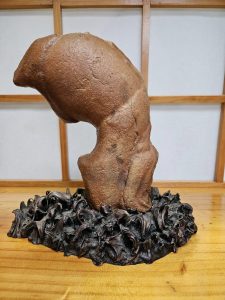 Suiseki fish jumping out of the water stone found in central Aust