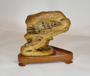Wax stone from Malaysia daiza made from Australian silky oak Grenvillea robusta